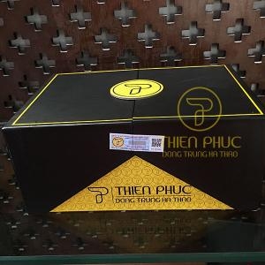 Đông trùng hạ thảo quả thể khô sấy đối lưu 20g Thiên Phúc