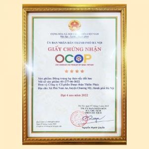 Đông trùng hạ thảo quả thể khô sấy đối lưu 20g Thiên Phúc