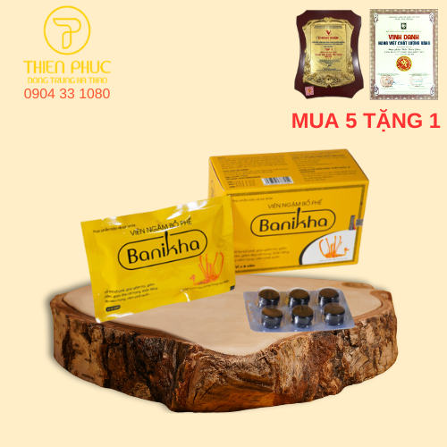 Viên ngậm bổ phế Banikha – hỗ trợ giảm ho, bảo vệ phế quản từ thảo dược thiên nhiên