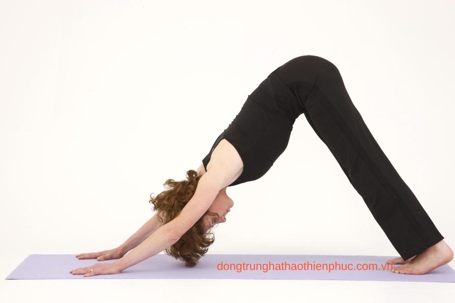 Tư thế Chó Cúi Đầu (Downward Dog)