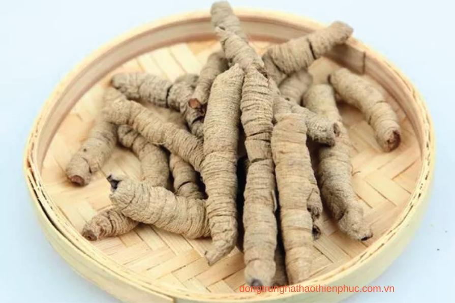 Hình ảnh viên bổ thận Banikha Thiên Phúc chứa ba kích tăng cường sinh lực