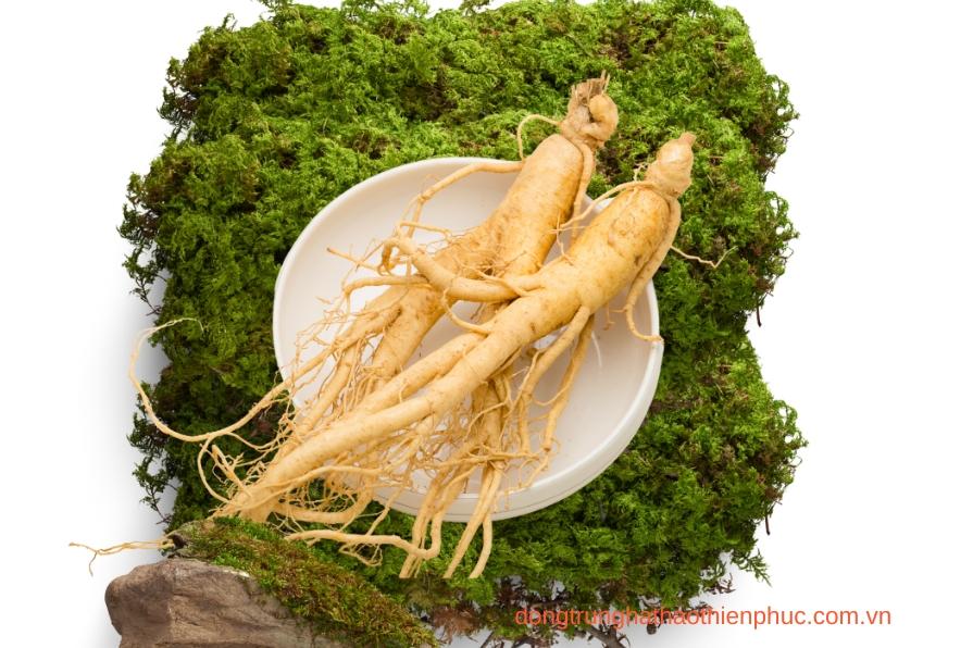 Cách sử dụng hồng sâm hiệu quả với viên nang Banikha Thiên Phúc.