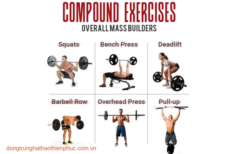 Bài tập compound giúp phát triển toàn diện các nhóm cơ