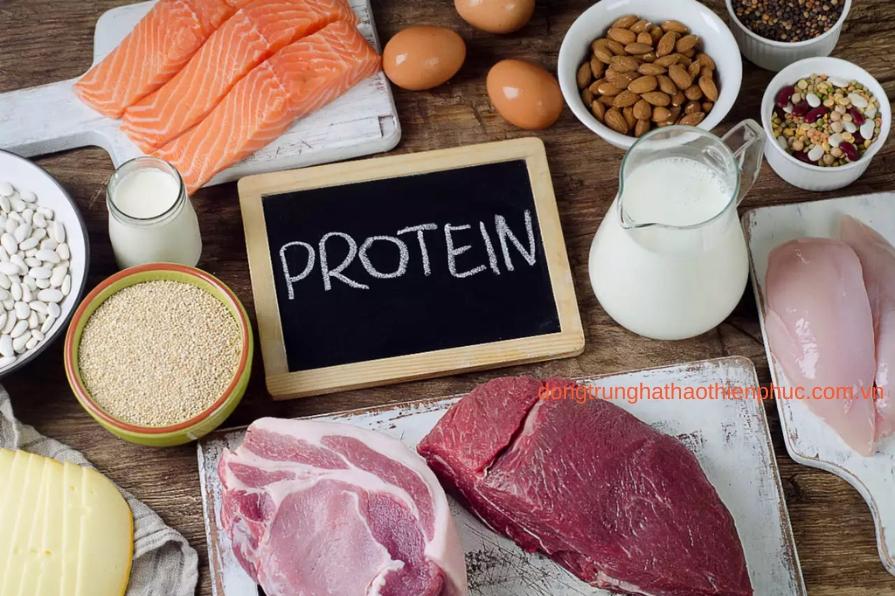 Thực phẩm giàu protein tốt cho nam giới