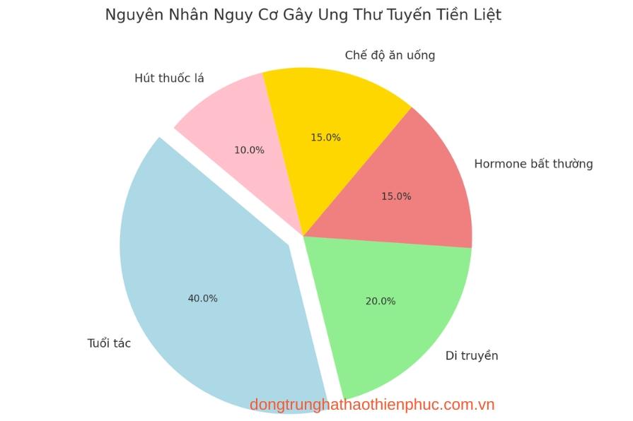 Nguyên nhân nguy cơ gây ung thư tuyến tiền liệt