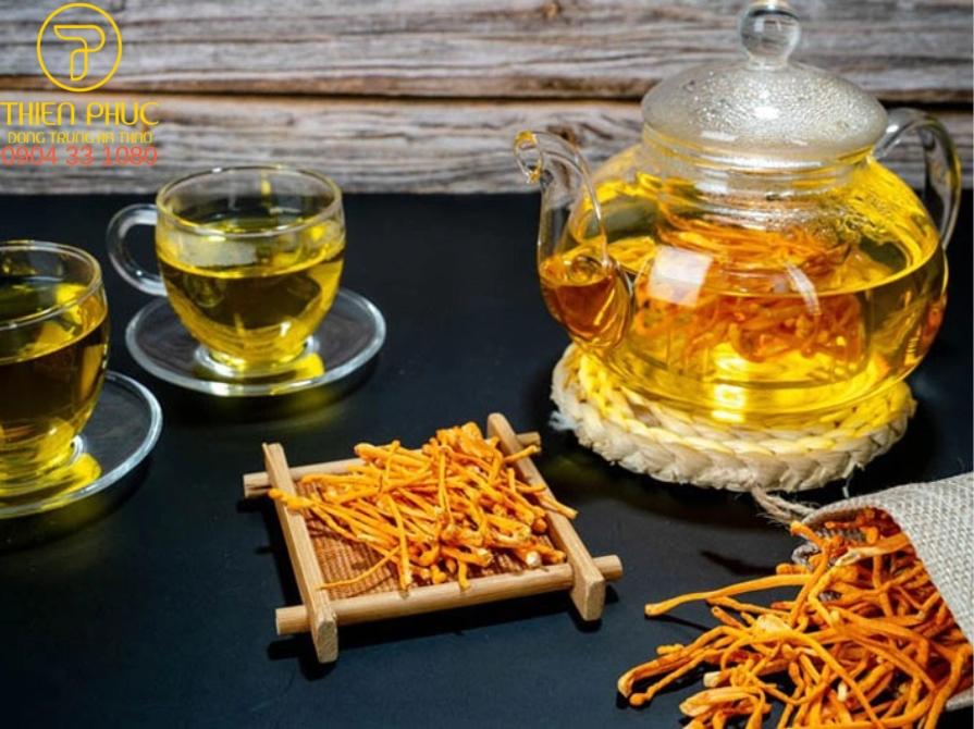 Pha trà đông trùng hạ thảo dùng như thức uống hàng ngày