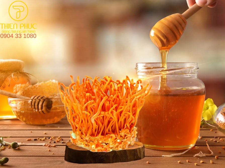 Đông trùng hạ thảo ngâm mật ong