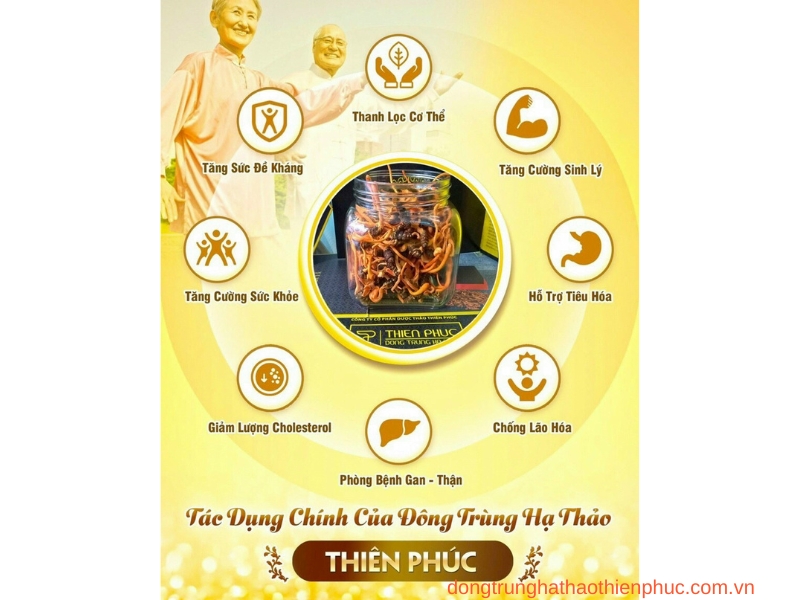 Hình ảnh đông trùng hạ thảo sấy khô chất lượng cao.