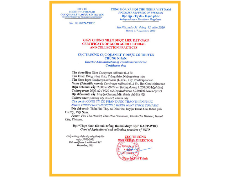 Đông trùng hạ thảo Thiên Phúc đạt chứng nhận GACP-WHO