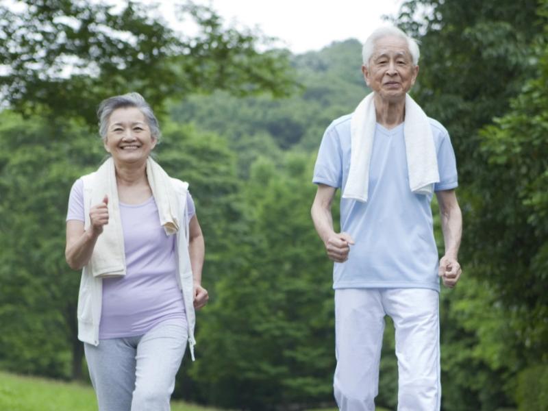 Đông trùng hạ thảo giúp nâng cao sức khỏe, đặc biệt cho người cao tuổi