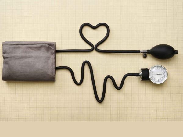 Đông trùng hạ thảo giúp hỗ trợ điều hòa huyết áp, giảm cholesterol