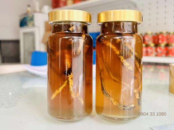 Đông trùng hạ thảo ngâm mật ong giúp tăng cường sức khỏe và hỗ trợ điều trị nhiều bệnh lý