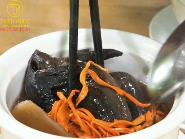 Đông trùng hạ thảo tươi nấu cháo