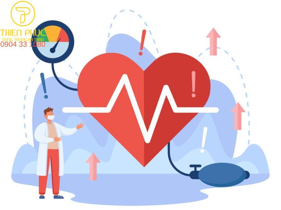 Đông trùng hạ tháo giúp điều hòa huyết áp.