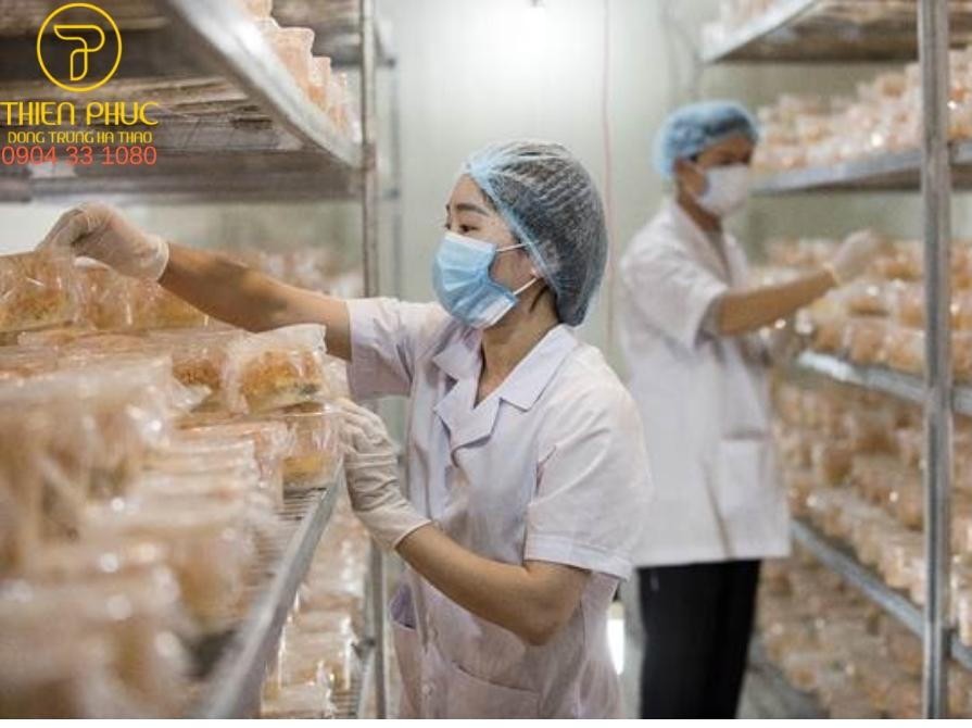 Bên trong cơ sở nuôi trồng đông trùng hạ thảo của Thiên Phúc.