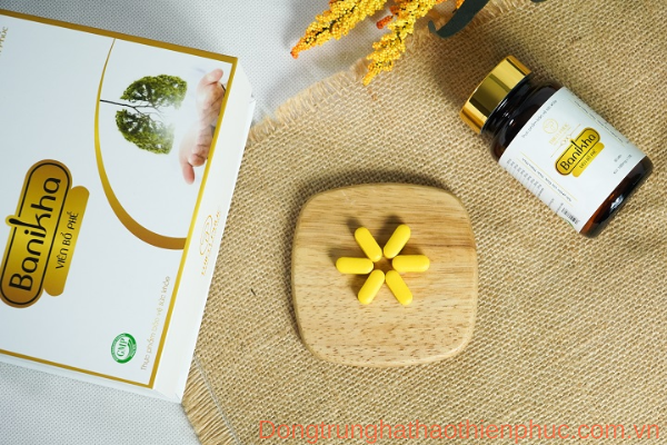 vien-bo-phe-banikha-thien-phuc-2