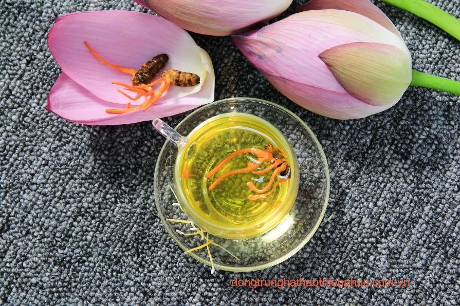 Pha trà đông trùng hạ thảo nguyên con khô tiện lợi