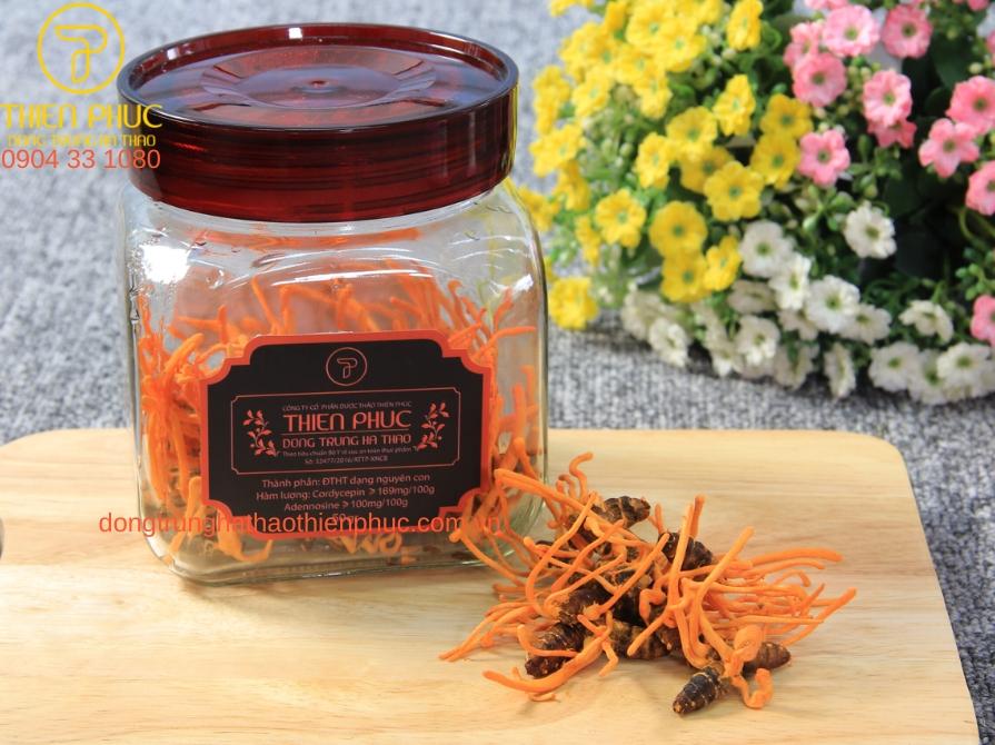 Đông trùng hạ thảo nguyên con tươi Thiên Phúc - sản phẩm chất lượng cao, bổ dưỡng cho sức khỏe