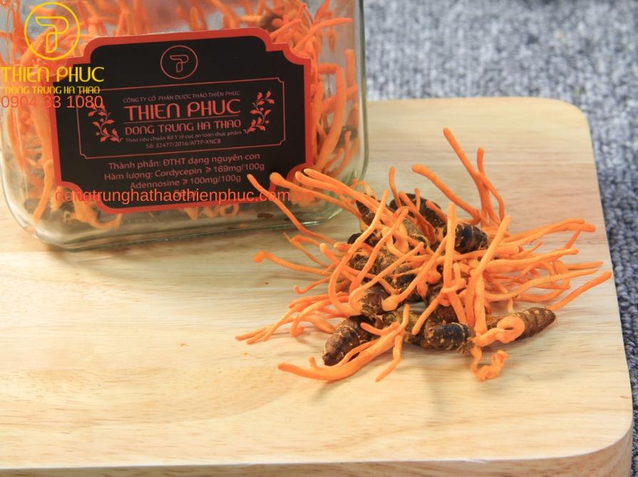 Sự khác biệt giữa đông trùng hạ thảo tươi và khô Thiên Phúc, lựa chọn phù hợp cho sức khỏe