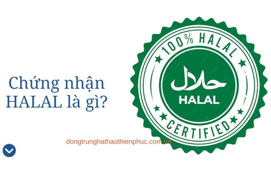 Khái niệm Halal và lợi ích chứng nhận Halal cho doanh nghiệp xuất khẩu