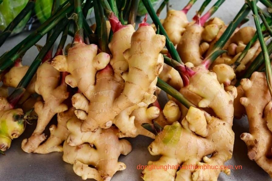 Gừng giảm đầy bụng và cải thiện cảm giác thèm ăn