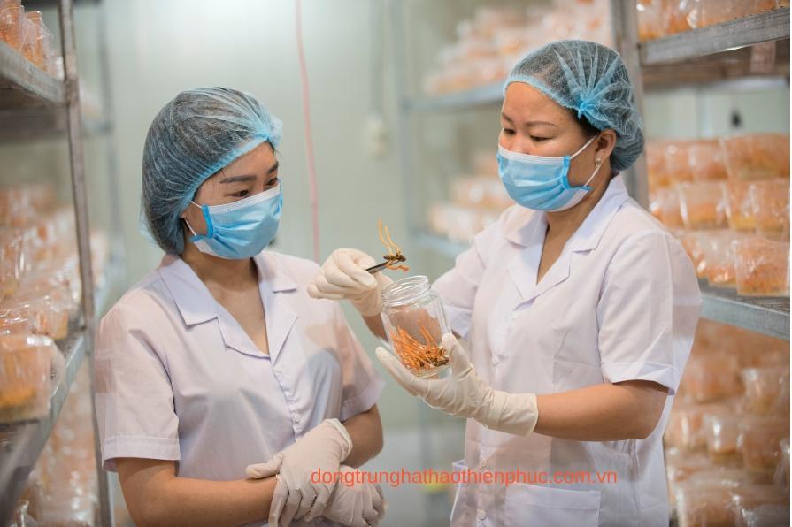 Hình ảnh Nguyễn Thị Hồng - Người tiên phong trong ngành đông trùng hạ thảo