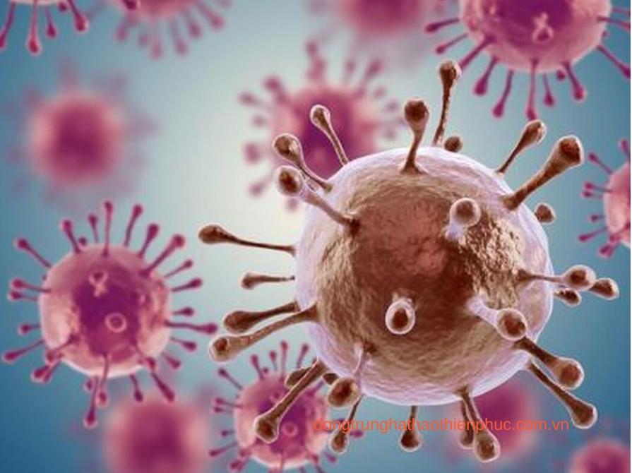 Mỗi loại ung thư sẽ có những triệu chứng và cách điều trị khác nhau