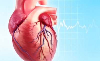 9 bệnh tim phổ biến ở người cao tuổi - Triệu chứng và cách phòng ngừa hiệu quả