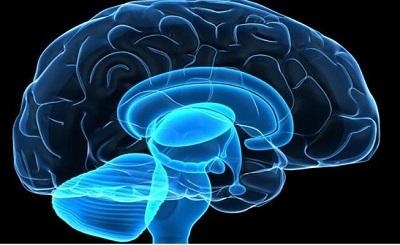 Những biểu hiện của lão hóa não