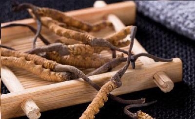 Đông trùng hạ thảo là gì? Công dụng và cách sử dụng đông trùng hạ thảo