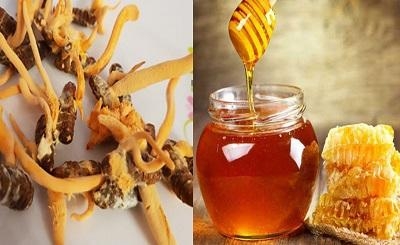 Lợi ích và cách dùng đông trùng hạ thảo ngâm mật ong – Tăng cường sức khỏe và làm đẹp từ thiên nhiên