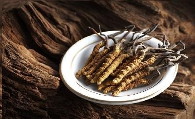 Đông trùng hạ thảo nên uống trước hay sau ăn – Thời điểm uống tốt nhất