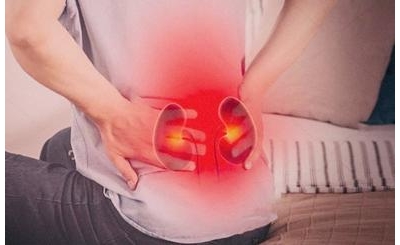 Đông trùng hạ thảo giúp giảm đau lưng mỏi gối cho người thận yếu – Hỗ trợ cải thiện chức năng thận